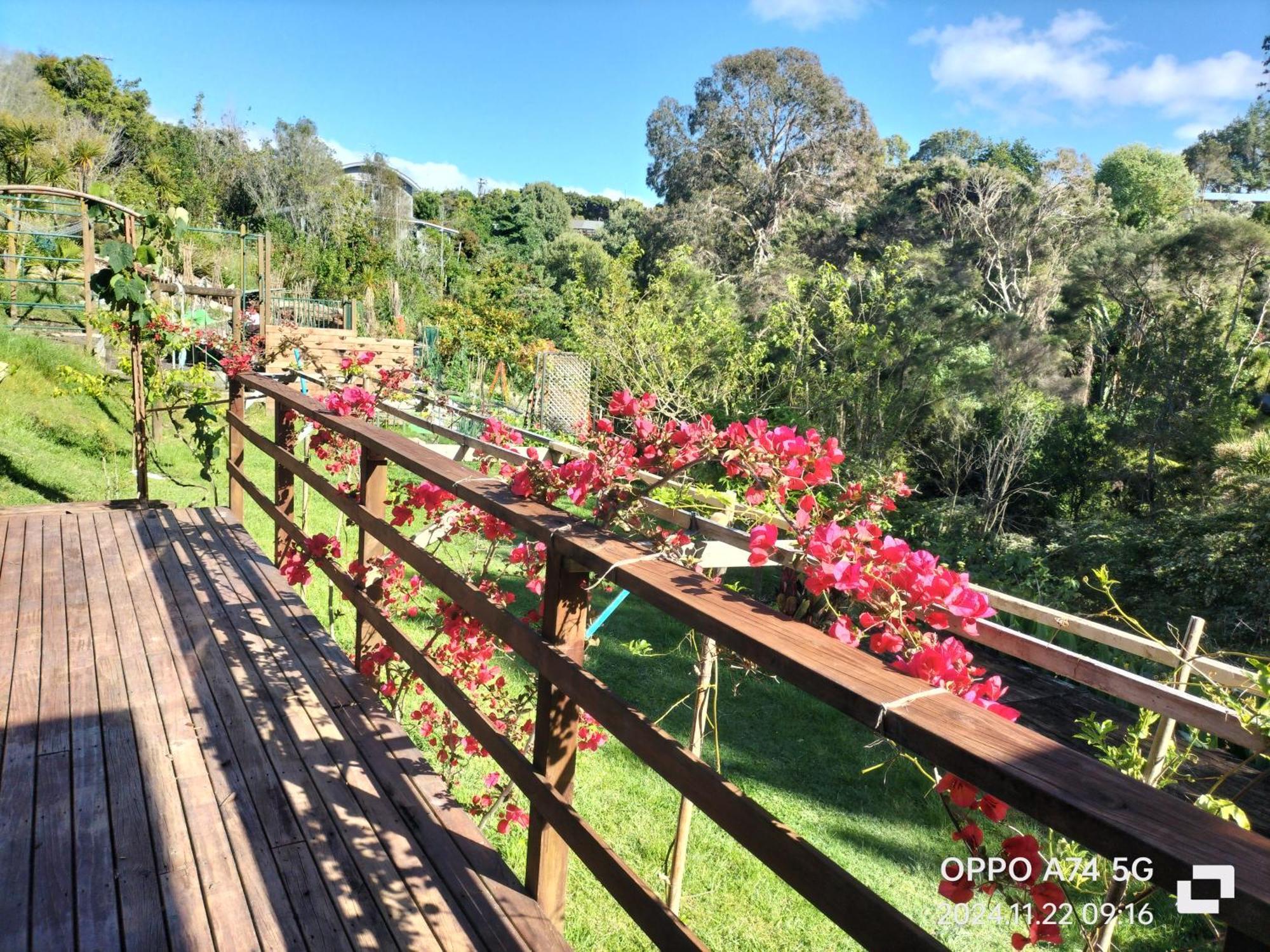 别墅中的一间客房 Auckland Luaran gambar